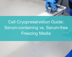 Cell Cryopreservation Guide: Serum-containing vs. Serum-free Freezing Media - cover
